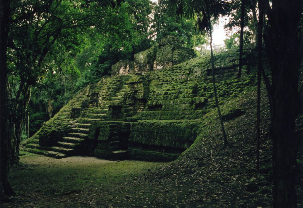 Stufenpyramide im Dschungel von Tikal